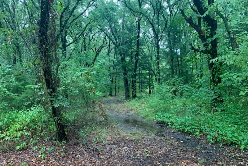 Hickory Hollow Add - Land