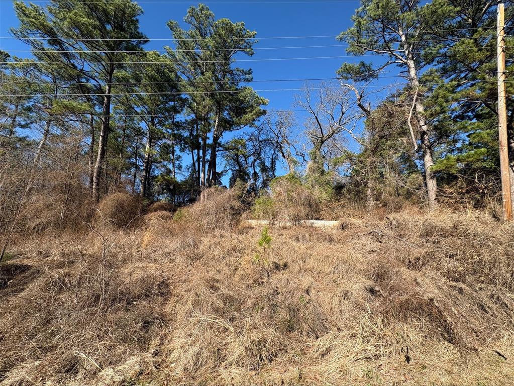 Lakeway Harbor - Land