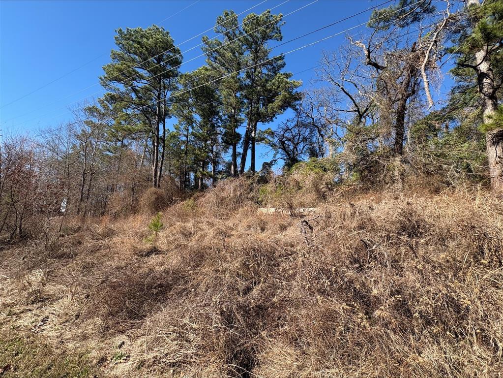 Lakeway Harbor - Land