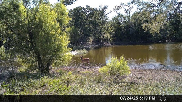 N/A WAYLAND RANCHES, BRECKENRIDGE, TX 76424 - Image 9b5a6f51e8f32bbccfcfe2af6d9baf43/671119648