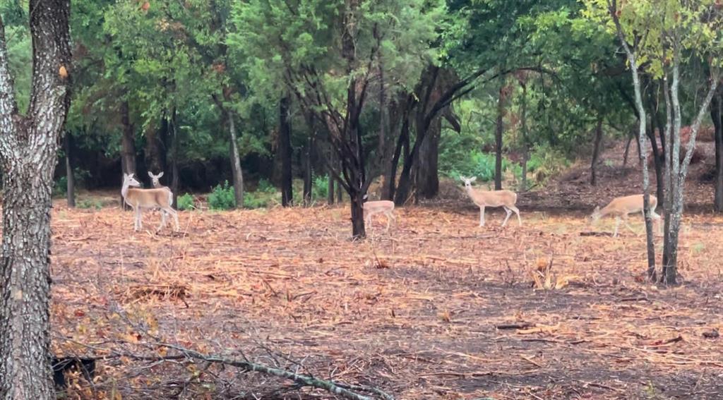 No Subdivison - Land