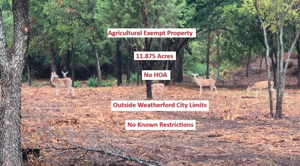 No Subdivison - Land