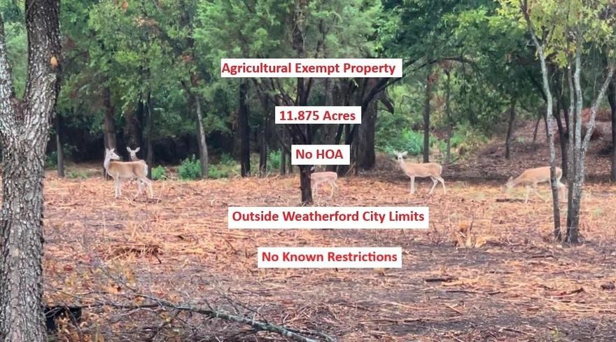 Welcome to your dream retreat, just 10 miles northwest of Weatherford, Texas! No City Taxes! AG EXEMPTION. This stunning 11.875-acre property offers the perfect balance of convenience and serenity, providing a peaceful escape while still being close to town. Nestled among scattered mature trees, this beautiful land sets the stage for building your ideal home in a private and tranquil setting. Whether you're envisioning a cozy countryside haven or a sprawling estate, this property has the space and charm to make your vision a reality. Imagine creating your own stock tank—a perfect feature for anyone wanting a touch of nature while enhancing the functionality of the land. With an agriculture exemption already in place, the possibilities for this property are as vast as the Texas skies above. Wildlife enthusiasts will appreciate the occasional deer sightings, adding a touch of natural beauty to this already picturesque setting. The combination of open space and tree coverage offers versatility and an inviting canvas for your custom plans. Whether you're looking to build your forever home or a weekend getaway, this location offers the best of both worlds: serene country living and easy access to Weatherford’s conveniences. Don’t miss this rare opportunity to own your own slice of Texas paradise. Your perfect escape is waiting—schedule a visit today! Ag exemption bee contract, custom home building design house plans, soil boring report and other information provided once under contract. Call listing agent to discuss.