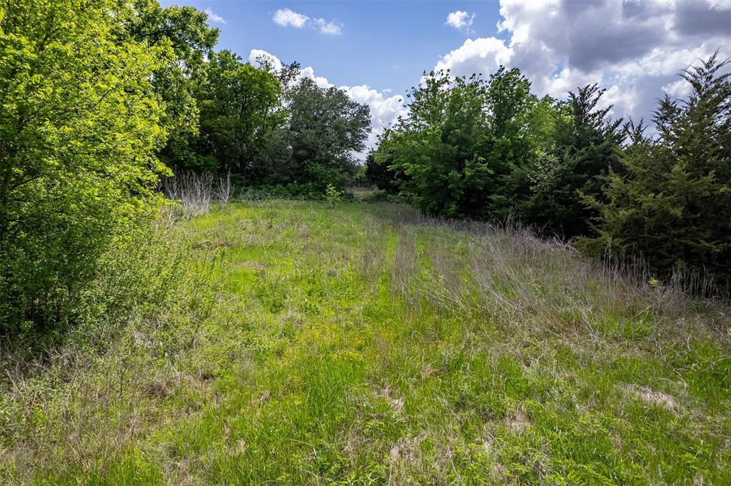 5228 County Road 599