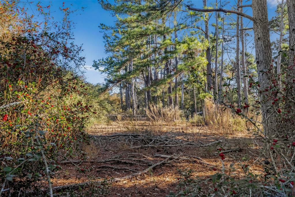 Three Lakes Ranch - Land