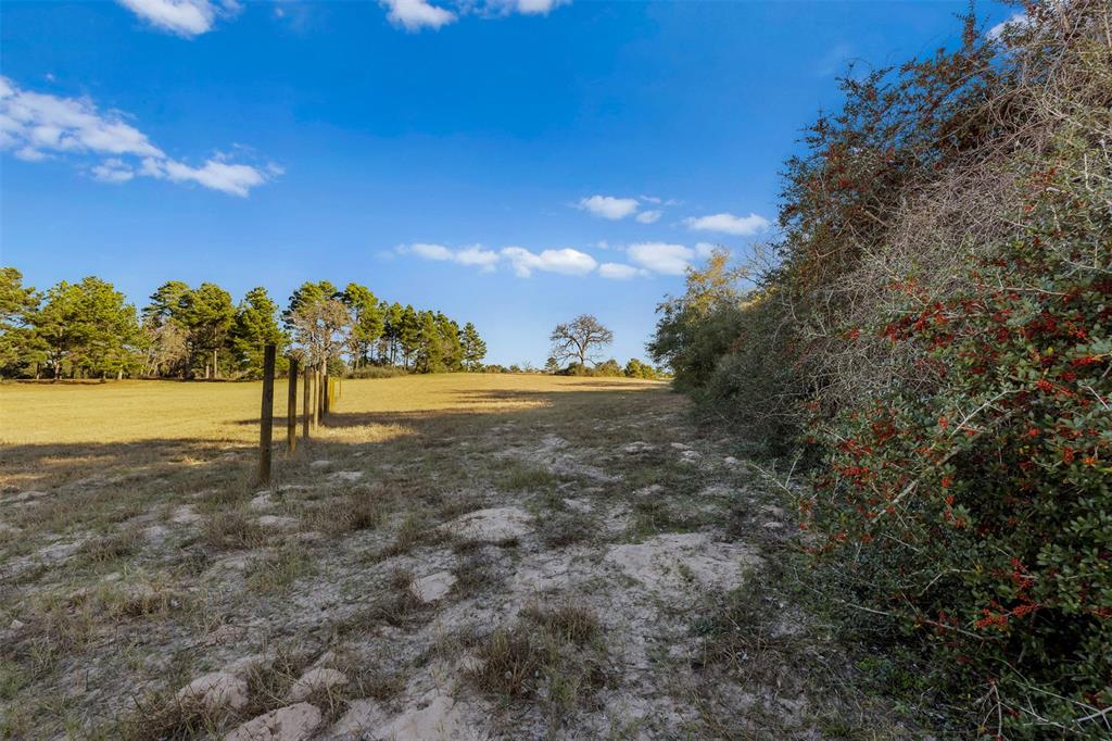 Three Lakes Ranch - Land