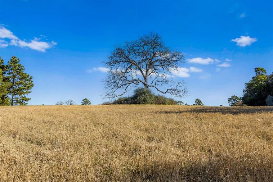 This 5.01-acre lot in the desirable Three Lakes Ranch community outside of Centerville offers a perfect blend of nature and modern living. Located in a cul-de-sac and adorned with hardwoods and a gentle incline, this lot is an ideal setting for building your very own weekend escape or permanent dream home. You’ll enjoy exclusivity and privacy, while modern amenities like high-speed fiber optic internet and central water ensure a seamless blend of comfort and nature. The community offers a gated entrance, paved private roads, electricity, and easy access to three sparkling lakes, including a private lake park with a fishing dock and pavilion. Located just 15 minutes from Centerville and centrally positioned between Houston and Dallas along I-45, you're only 90 minutes from either city. Whether you choose to build now or in the future, this property offers a prime opportunity to create your country lifestyle in a peaceful, rural setting with the conveniences of modern living.