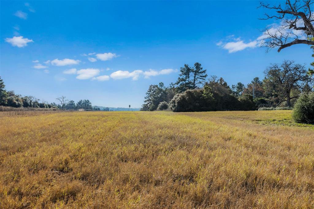 Three Lakes Ranch - Land