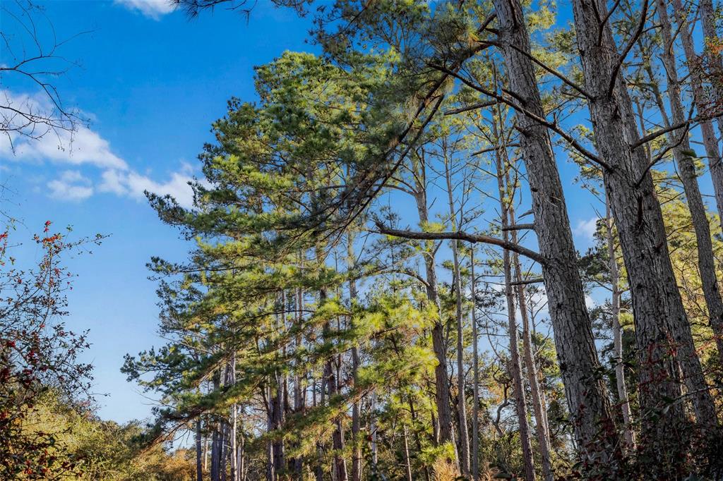 Three Lakes Ranch - Land