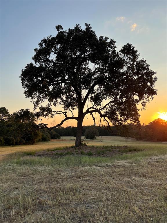 Three Lakes Ranch - Land