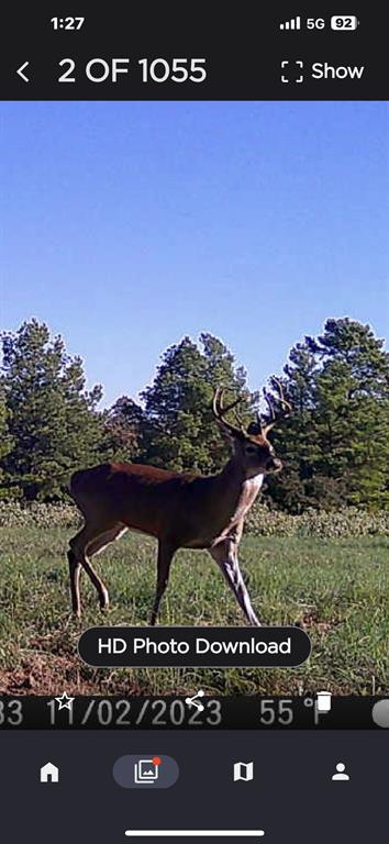 Three Lakes Ranch - Land