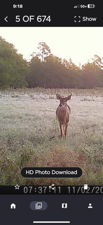 Three Lakes Ranch - Land