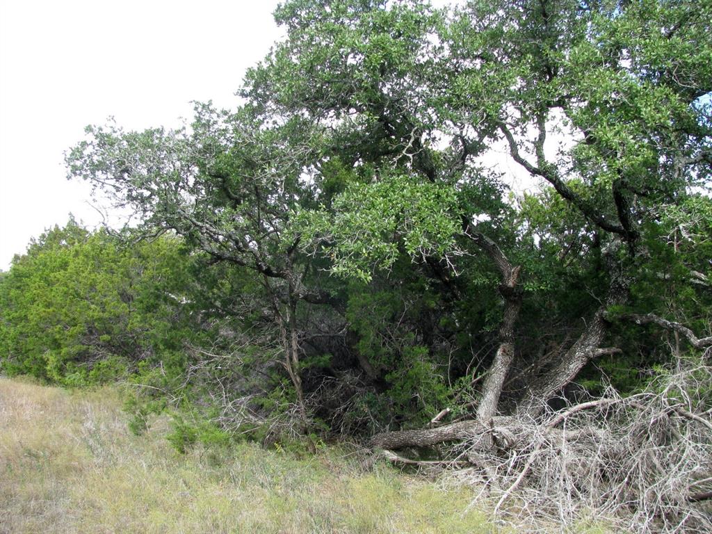 Rio Escondido - Land