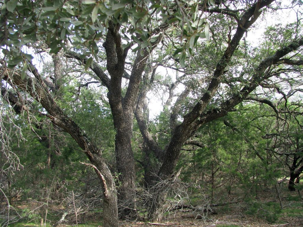 Rio Escondido - Land