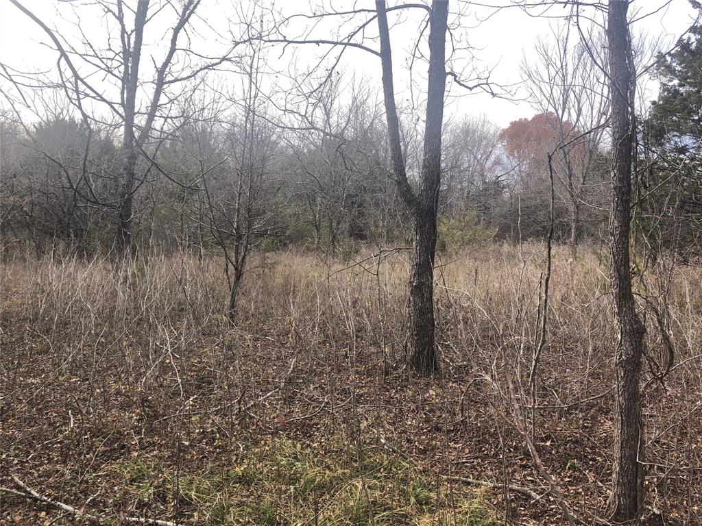 Tract 6 County Road 24900 Road