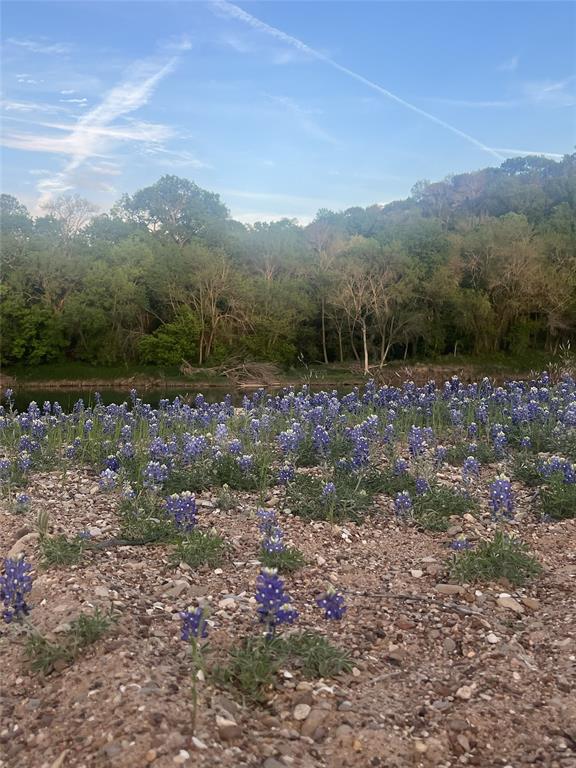Pecan Plantation - Residential