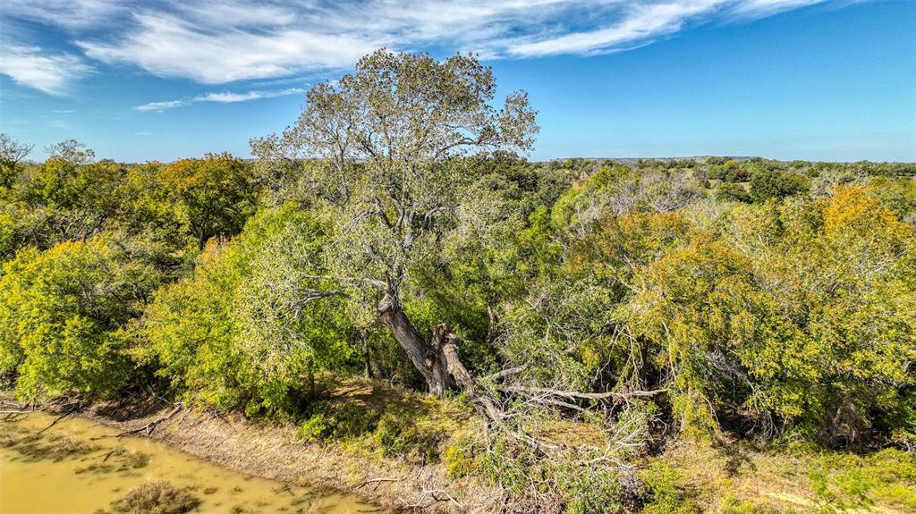 None - Farm