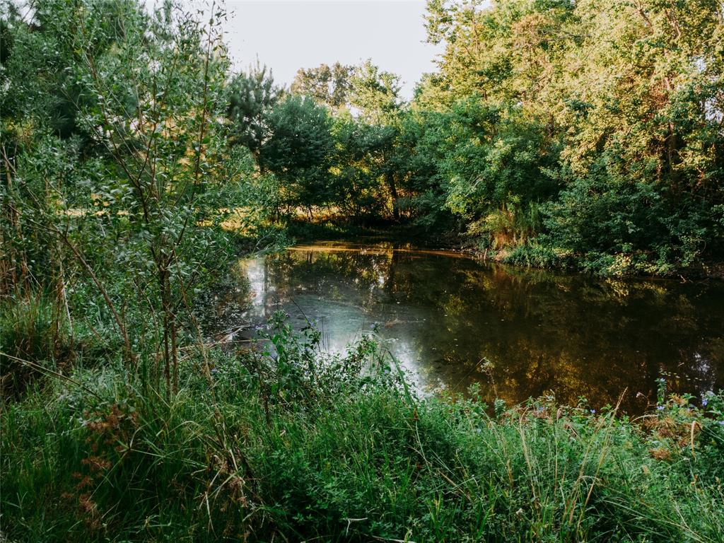 1609 County Road 2626