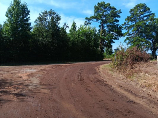 TBD COUNTY ROAD 223, CARTHAGE, TX 75633 - Image 9bcb43610ccd05d12b3d6b8d7a49dedd/3307313190