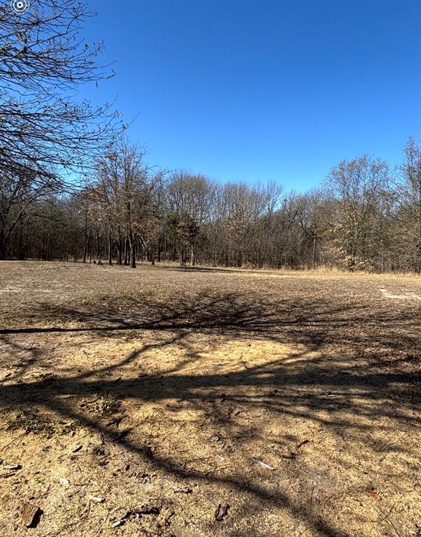 E Alvarado Surv Abs #4 - Land