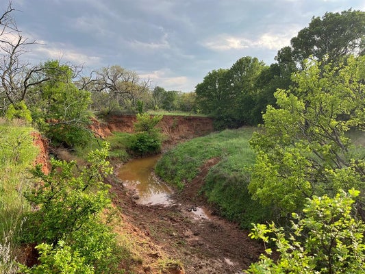 W. 34.1 HOFFMAN ROAD, LOVING, TX 76460 - Image 9bd422158e828c5587f7fa7a13d9be8d/3174176658