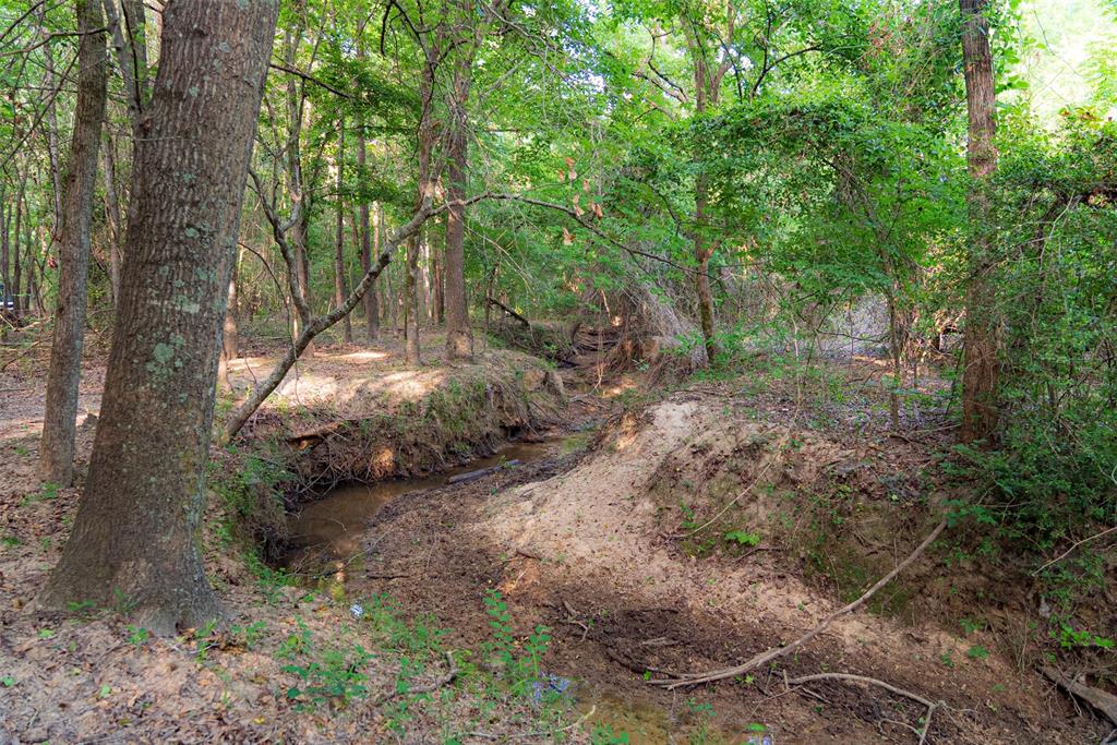 13612 County Road 3900