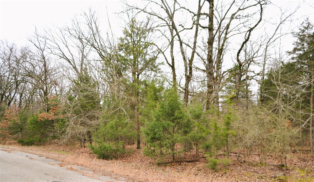 Lake Fork Estates - Land