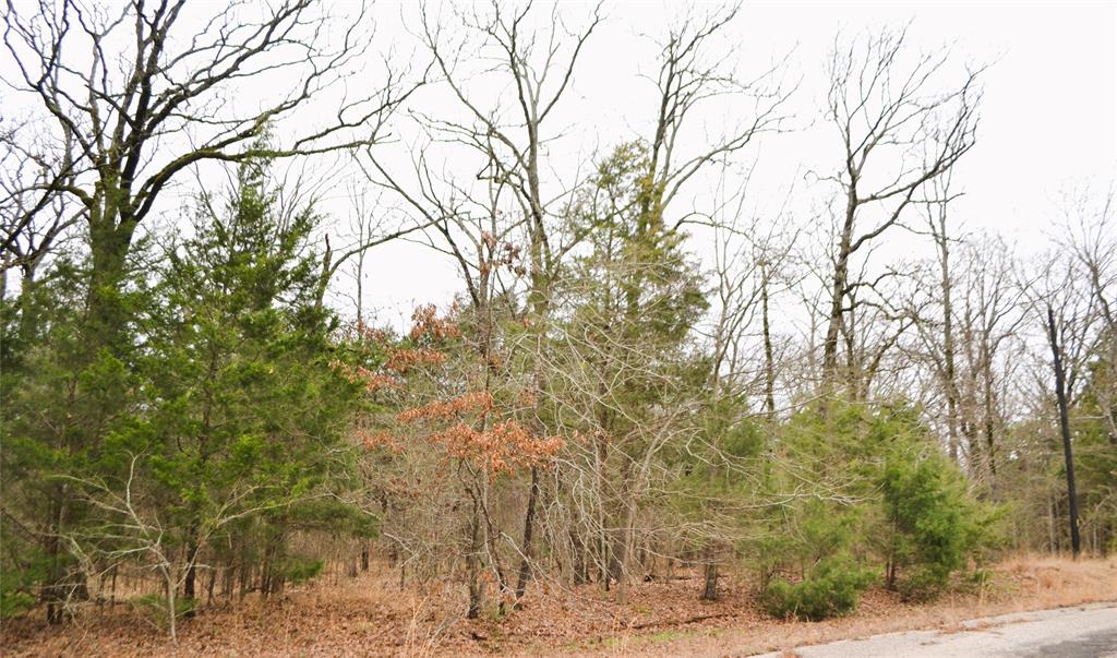 Lake Fork Estates - Land