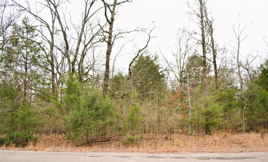 Lake Fork Estates - Land