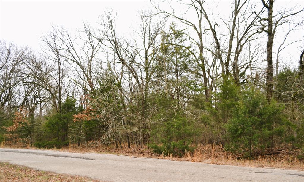 Lake Fork Estates - Land