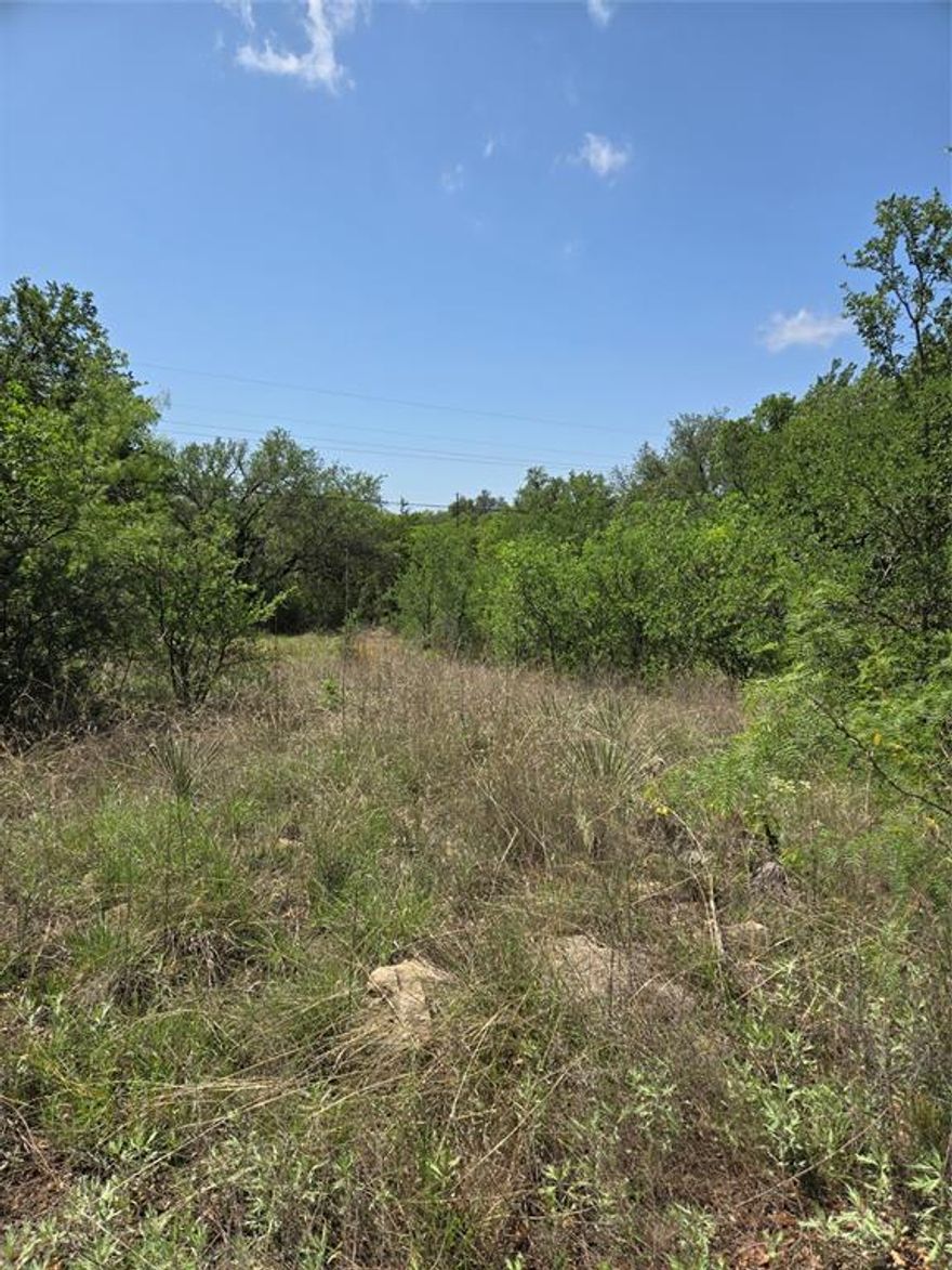 LAKE BROWNWOOD. LOT 350, IN SHAMROCK SHORES SECTION B, TREES, SOME OAKS, LOT 50 FEET WIDE AT STREET BY 100 FEET DEEP, ELECTRICITY AVAILABLE, WATER AVAILABLE THROUGH BROOKESMITH WATER, LAKE IS A SHORT DRIVE AWAY, COME MAKE THIS YOUR GET AWAY!