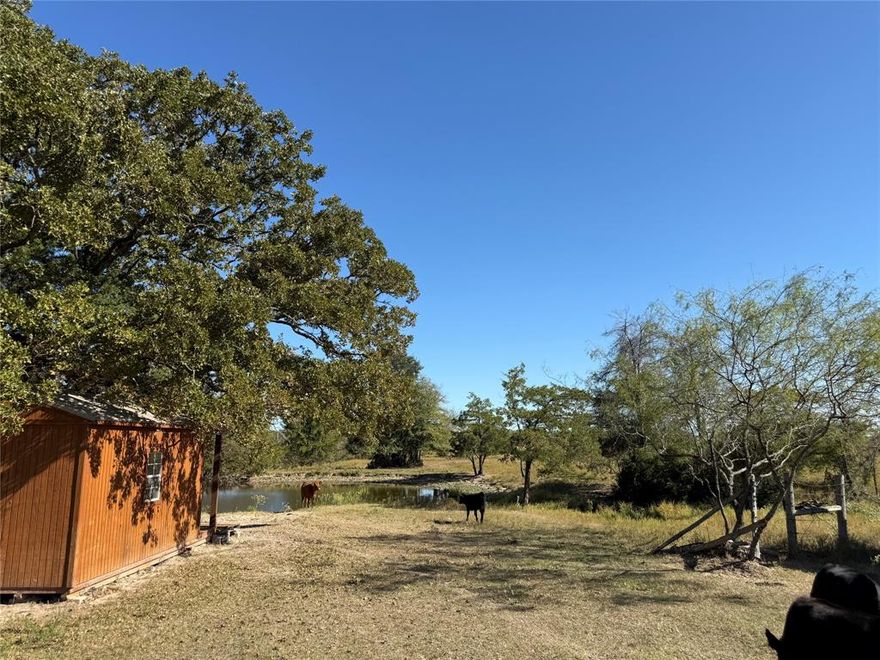 Peaceful 16 and a half acres located in Teague and priced to sell.  Plenty of wide open acreage to build a home or have your cattle and horses roam.  The land is mostly level but slightly rolling and is cleared with some trees throughout and along the perimeter.  Two sides are fenced and there is a pond in back with plenty of fish! Land is located down a private easement. Please schedule an appointment for your personal showing. Thank you.
