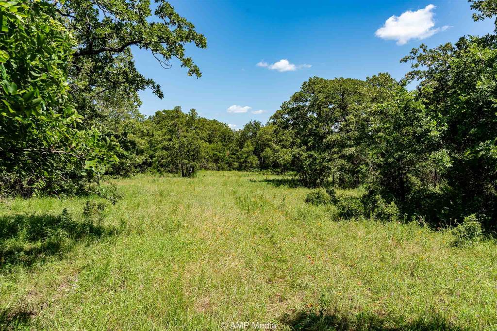 3641 Carpenter Road