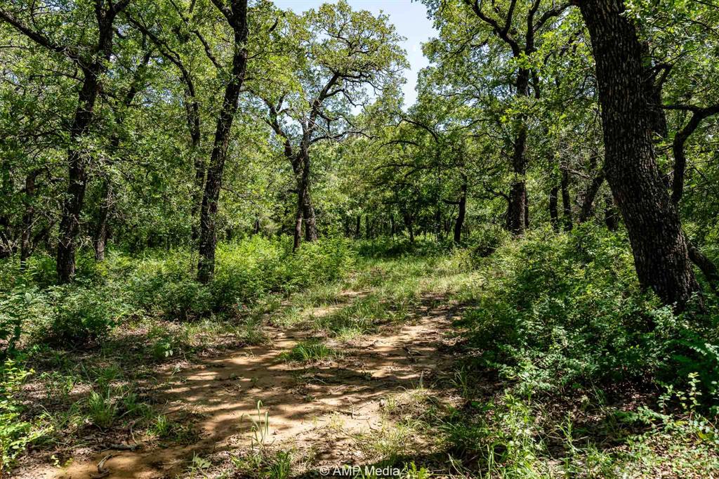 3641 Carpenter Road