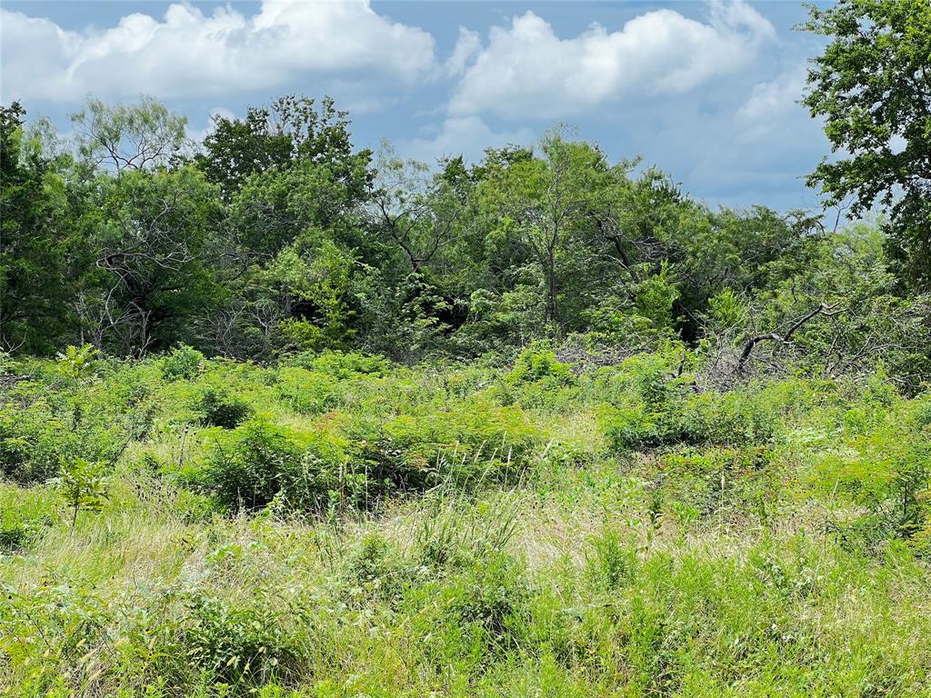 Lot 75 Wolf Ranch