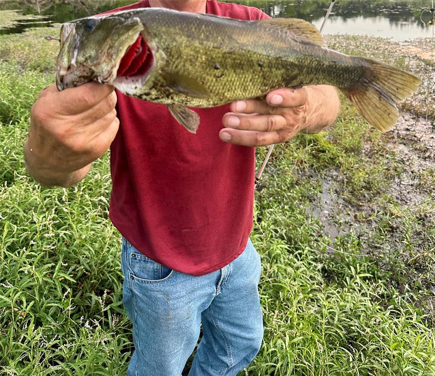 A Varela - Residential