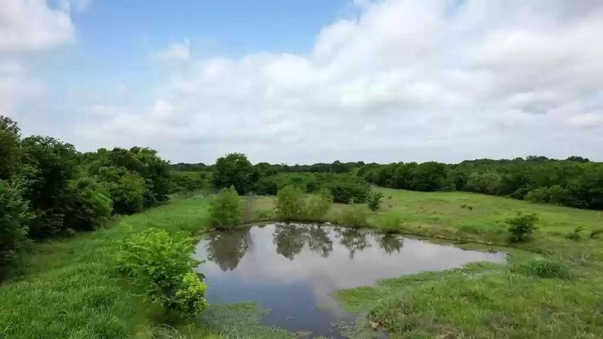 LAND, LAND, LAND! Whether you’d like to build your home, raise cattle or bale hay…you can do it all on this beautiful 38.5 acres. Creek and two ponds on-alongside the property. Water and electric on site. Currently in ag. Minutes from Hwy 175 in Kemp.
