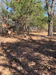 Rustling Oaks Estates Ph III - Land