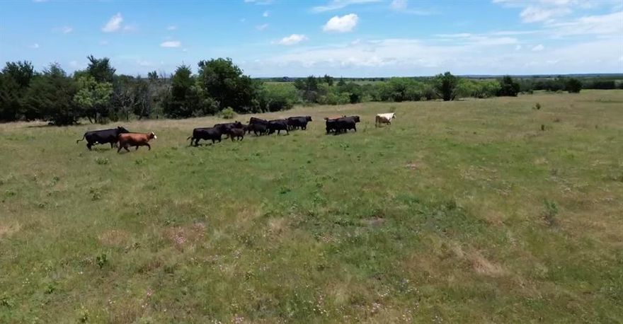 *****WOW ****
 What a beautiful 7.5 acres corner tract on Wright & Keyes Rd in Sherman. There is a gorgeous pond there. Over 800 ft of frontage on Wright Rd & 380 ft frontage on Keyes Rd. Survey on Transaction Desk. Land has Ag Exemption, no flood in this land. Owner is getting Bee Hives Exemption. Future Tollway will be half a mile south of this land.