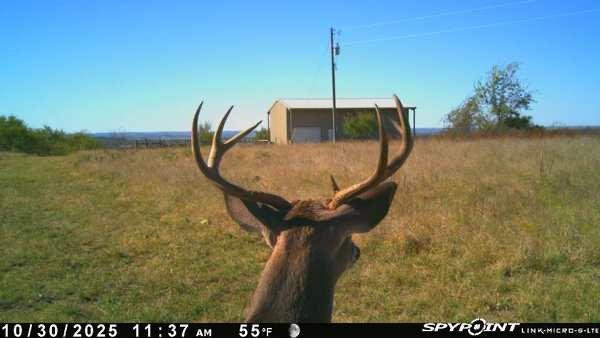 The Ranches at Comanche Valley - Land