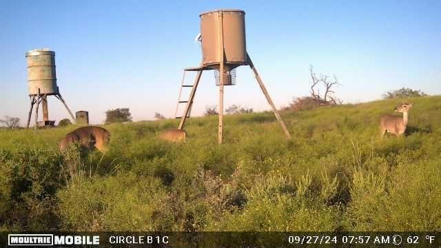 Comanche Hills - Farm