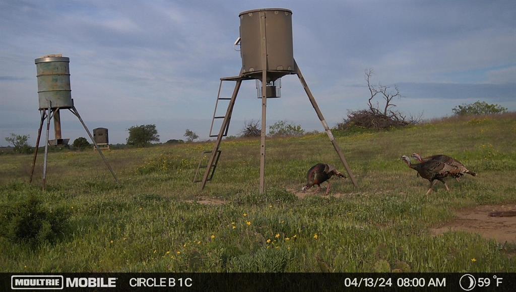 Comanche Hills - Farm