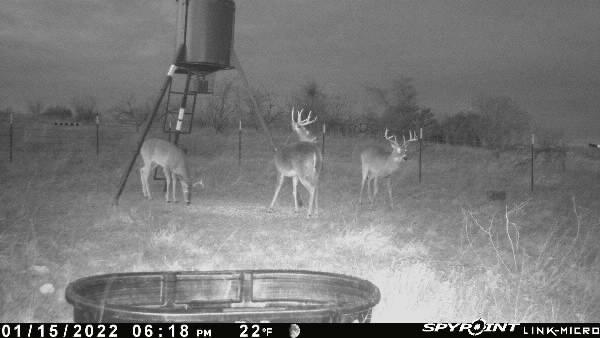 Comanche Hills - Farm