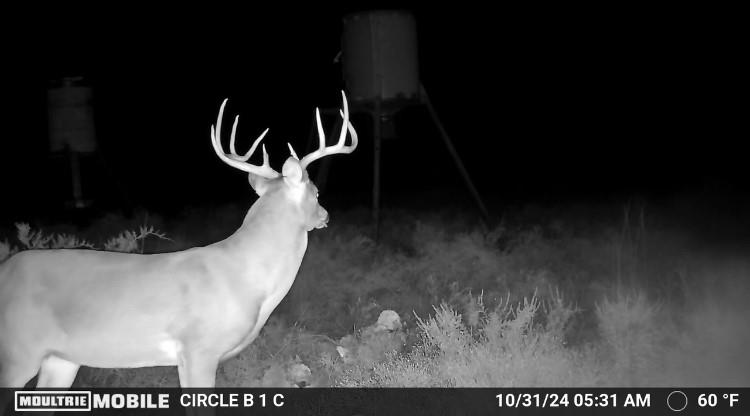 Comanche Hills - Farm