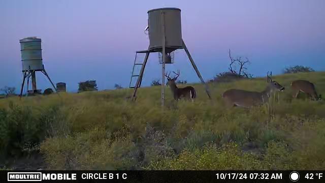 Comanche Hills - Farm