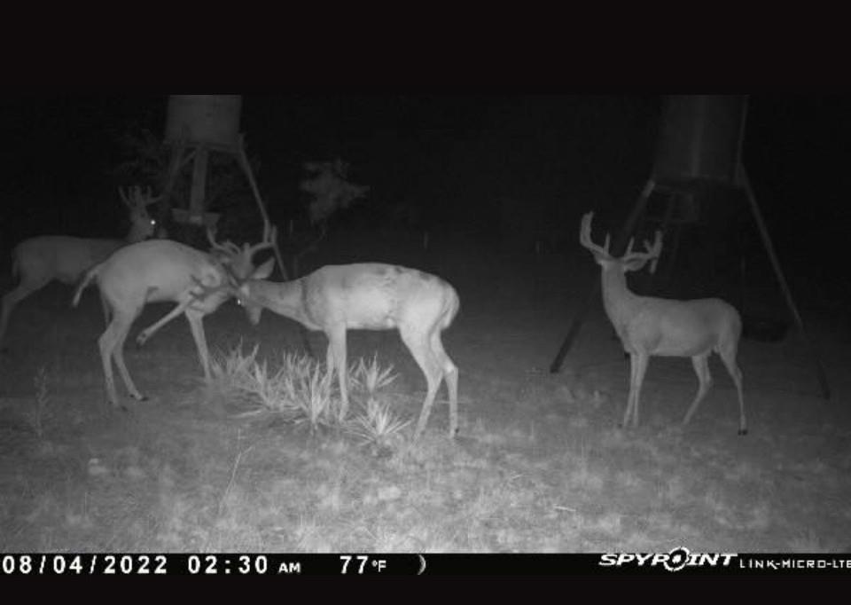 Comanche Hills - Farm