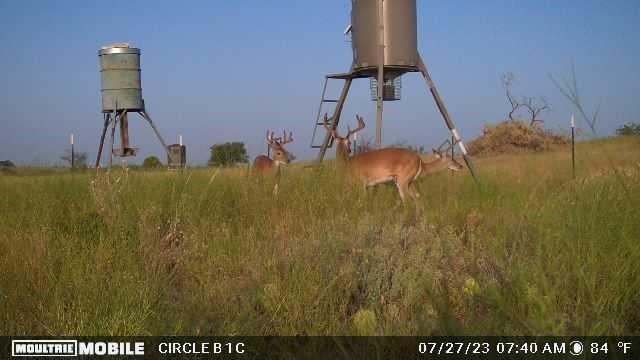 Comanche Hills - Farm
