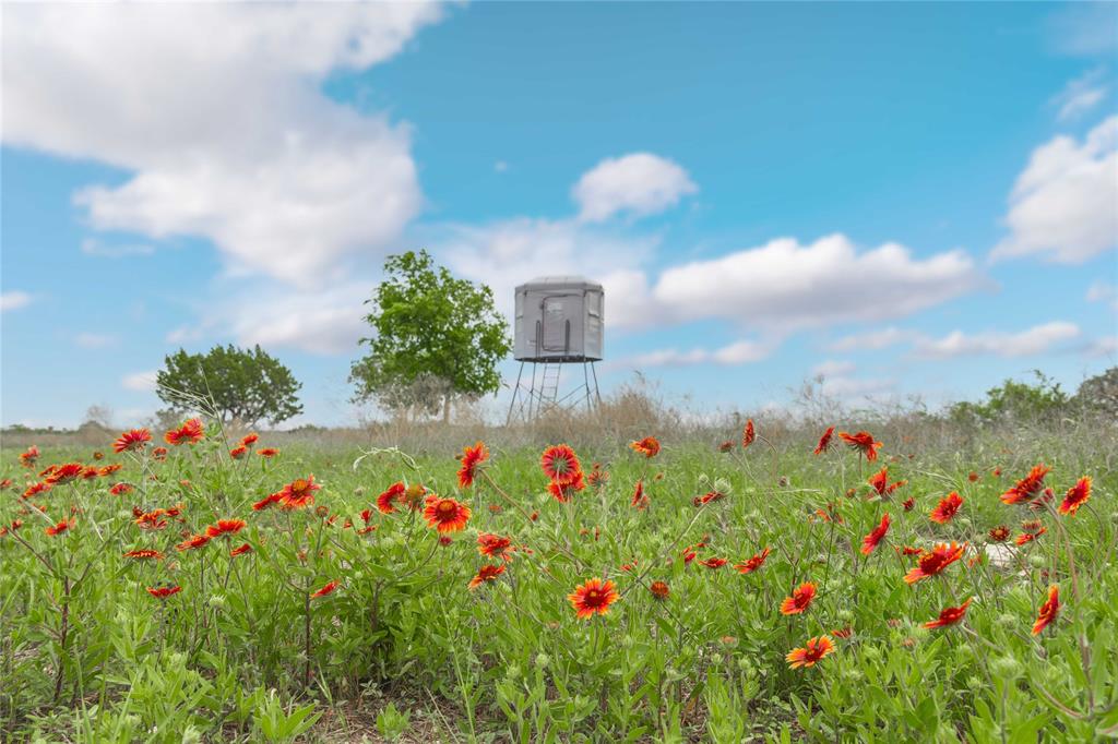 Comanche Hills - Farm