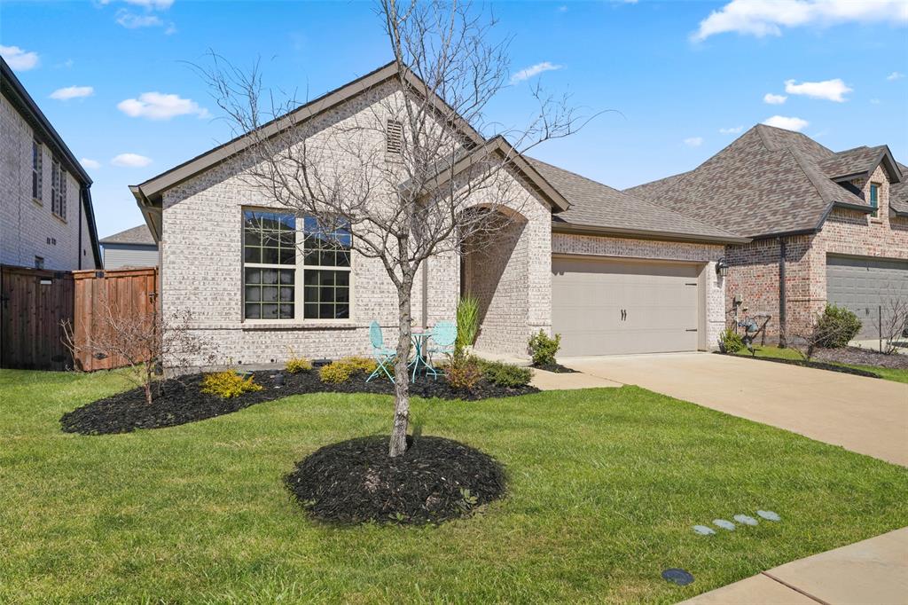 1921 Braided Mane Avenue