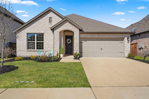 1921 Braided Mane Avenue Aubrey TX 76227